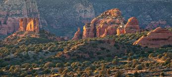 0616_dogietrail.jpg