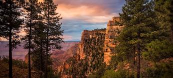 0617_caperoyalroad-.jpg