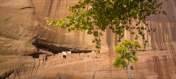 0618_whitehouseruinstrail.jpg