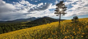 0815_olearypeaktrail.jpg
