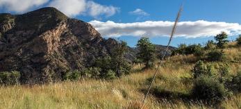 0817_joecanyontrail.jpg