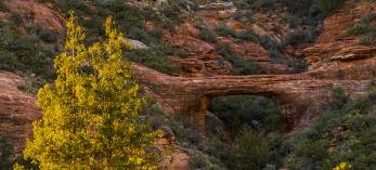 1018_sterlingpassvulteearchtrail.jpg