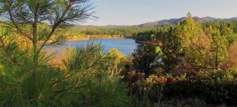 camp_c_lynxlakejerryjonesjr_p70.jpg