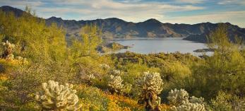 camp_c_riversidecampground.jpg