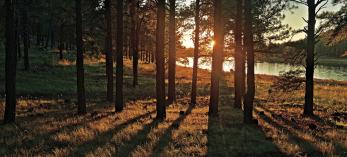 camp_north_kaibablake_p38.jpg
