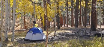 camp_northrimpg44.jpg