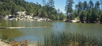 camp_south_rosecanyon_p137.jpg