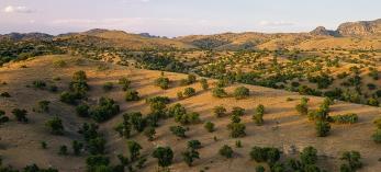 drive_0215_rubyroad.jpg