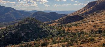drive_1014_geronimotrail.jpg