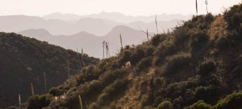 drive_central_pinal_86.jpg