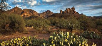 drive_centralqueenvalley0213.jpg