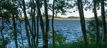 drive_east_eagar_108.jpg