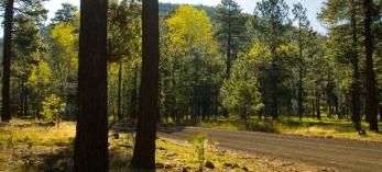 drive_east_mcnary_113.jpg