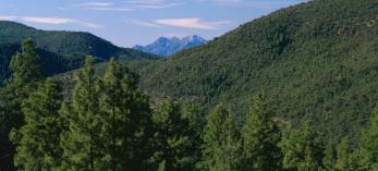 drive_east_young_122.jpg