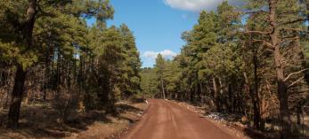 drive_north_stonemanlake_45.jpg