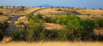 drive_south_empireranchrd_1113.jpg