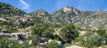 drive_south_mescal_156.jpg