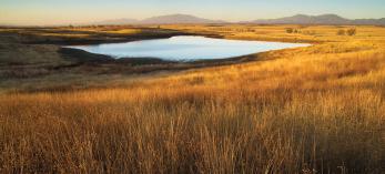 drive_south_sonoita_172.jpg