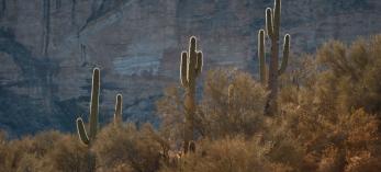 drive_west_6mile_138.jpg