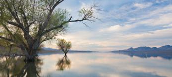 drive_west_cottonwood_126.jpg
