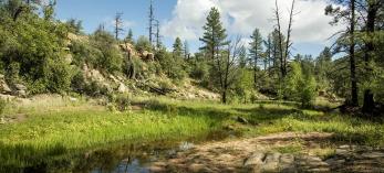 hike_0116_central_apachecreek.jpg