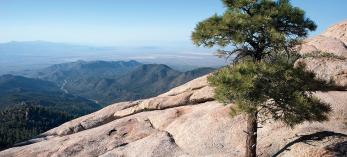 hike_0513_aspenpeaktrail.jpg