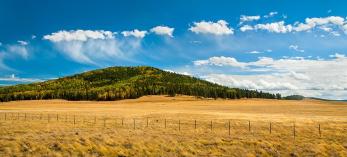 hike_1014_poleknolltrail.jpg
