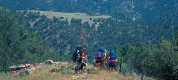 hike_1111_c_mescalridge.jpg