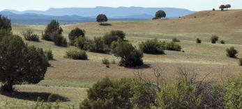 hike_c_oakswillows_1011.jpg