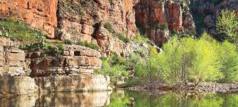 hike_c_parsons_0911.jpg