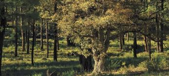 hike_centraloaktrail_0914.jpg