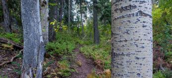hike_e_sixshooter_0210.jpg