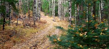 hike_east_granthillloop_1013.jpg
