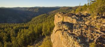 hike_n_kelseydorseyloop1114.jpg