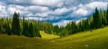 hike_north_kaibab_0614.jpg