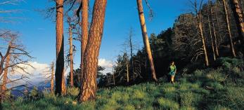 hike_s_oldbaldy_1010.jpg