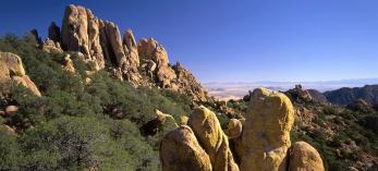 hike_south_cochisetrail2_0114.jpg
