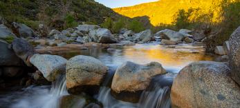 0120_BadgerSpringsTrail.jpg