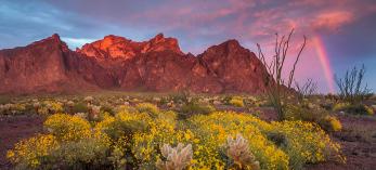 0120_KofaNationalWildlifeRefuge.jpg