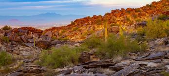 0121_Hike_Hidden_Valley_Trail.jpg