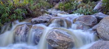 0220_PimaCanyonTrail.jpg