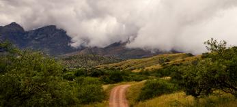 0319_GardnerCanyonRoad.jpg