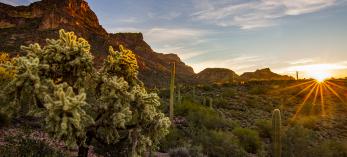 0319_HieroglyphicTrail.jpg