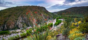 0419_BlackCanyonNatRecTrail.jpg