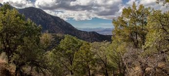 0519_KentSpringLoop.jpg