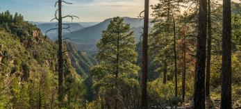 0521_Loy_Canyon_Trail.jpg
