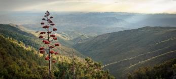 0521_Pinal_Peak_Drive.jpg