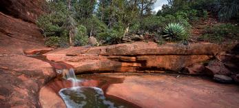 0619_MundsWagonTrail.jpg