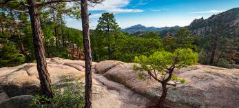 0719_WildernessRockTrail.jpg