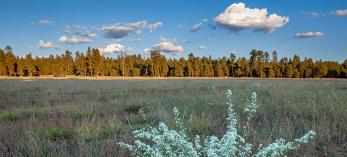 0819_HutchMountain.jpg